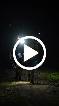 BIB:  <button type="button" onclick="openModal(27308014)" class="btn btn-primary btn-sm float-right" data-toggle="modal" data-target=".modal-high-quality">
                <i class="fa fa-download"></i> Download
                </button>